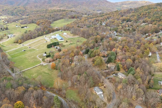 a view of a yard with trees
