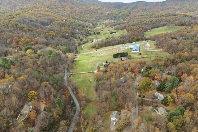 a close up of a plant with white wall