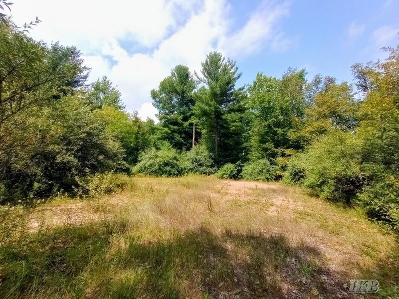 Unit 11 Deer Run Gladwin, MI 48624 - Photo 11 of 21 Gallery Image 11