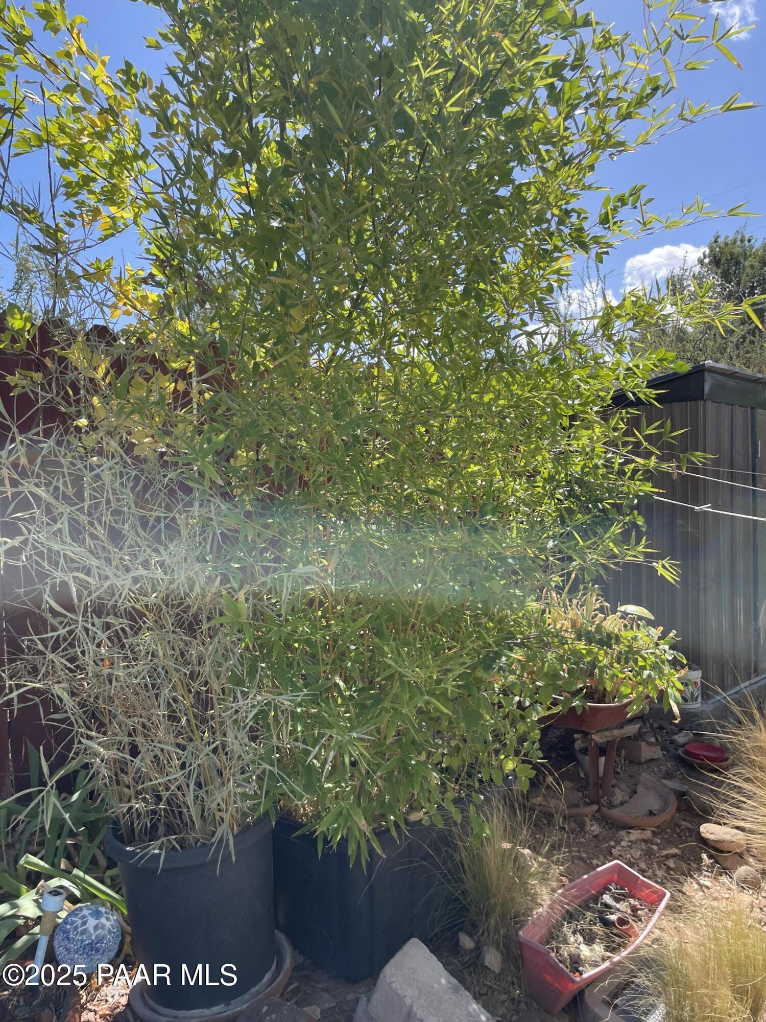 4701 North Valancius Way Rimrock, AZ 86335 - Photo 21 of 35 a view of a garden with plants