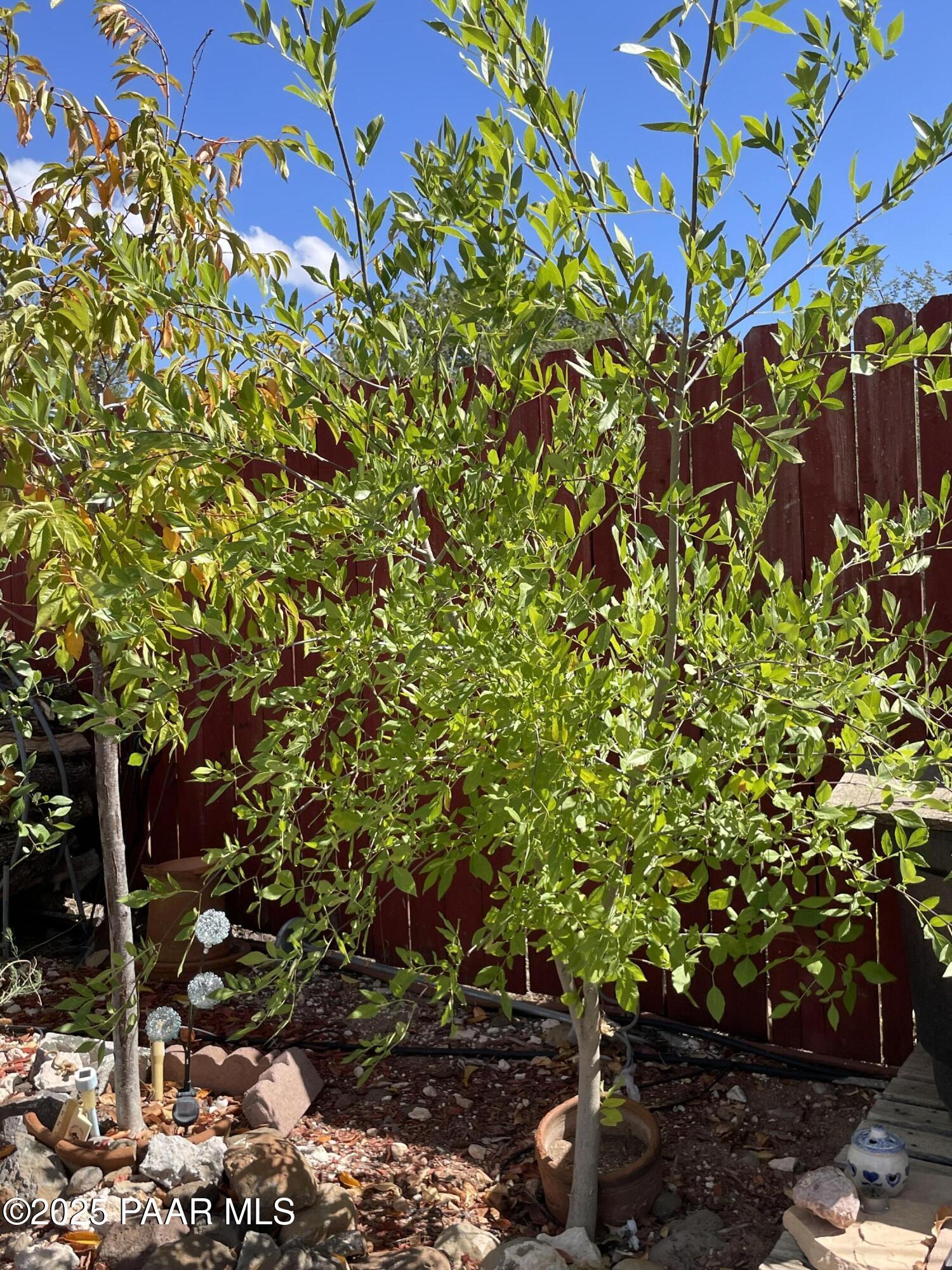 4701 North Valancius Way Rimrock, AZ 86335 - Photo 22 of 35 a backyard of a house with lots of green space