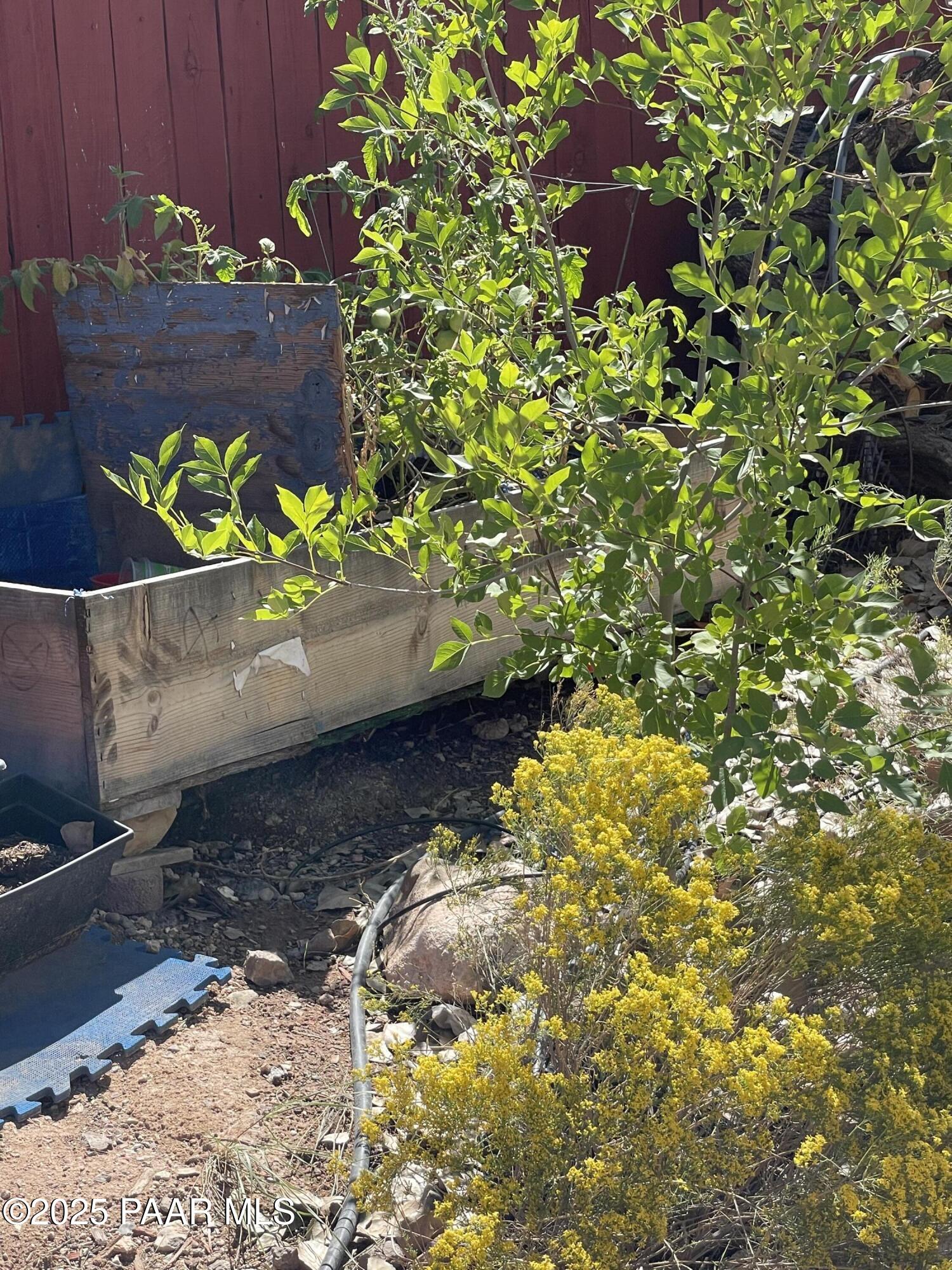 4701 North Valancius Way Rimrock, AZ 86335 - Photo 24 of 35 Garden