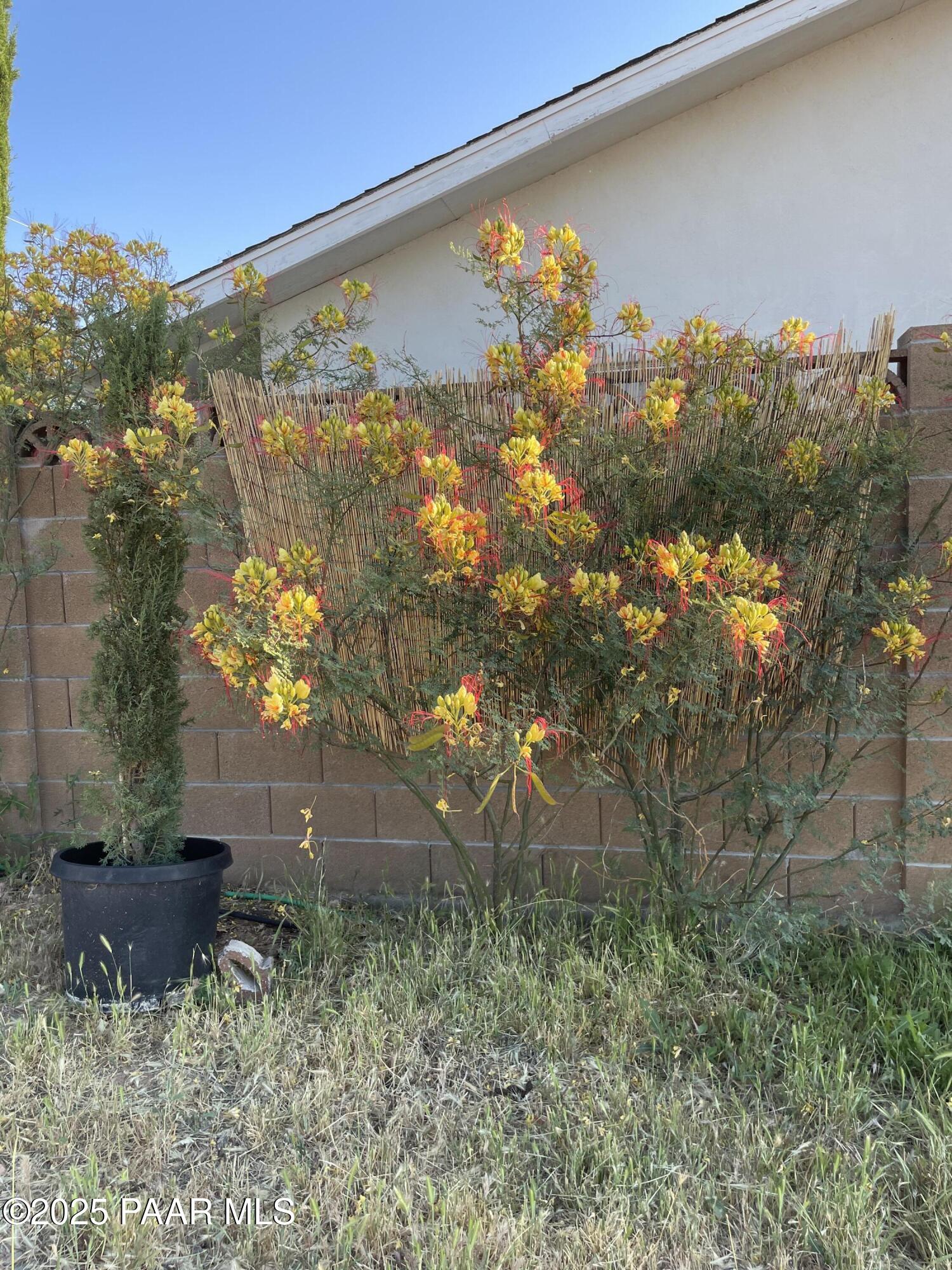 4701 North Valancius Way Rimrock, AZ 86335 - Photo 29 of 35 a view of a back yard