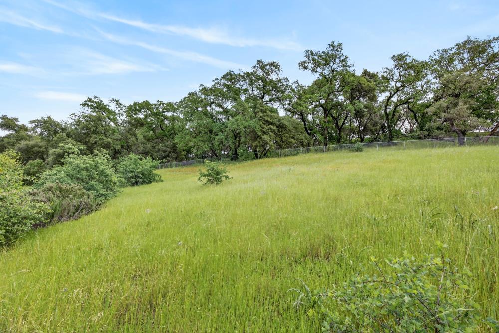 4071 Silver Street Rocklin, CA 95677 - Photo 50 of 70 a view of outdoor space and yard