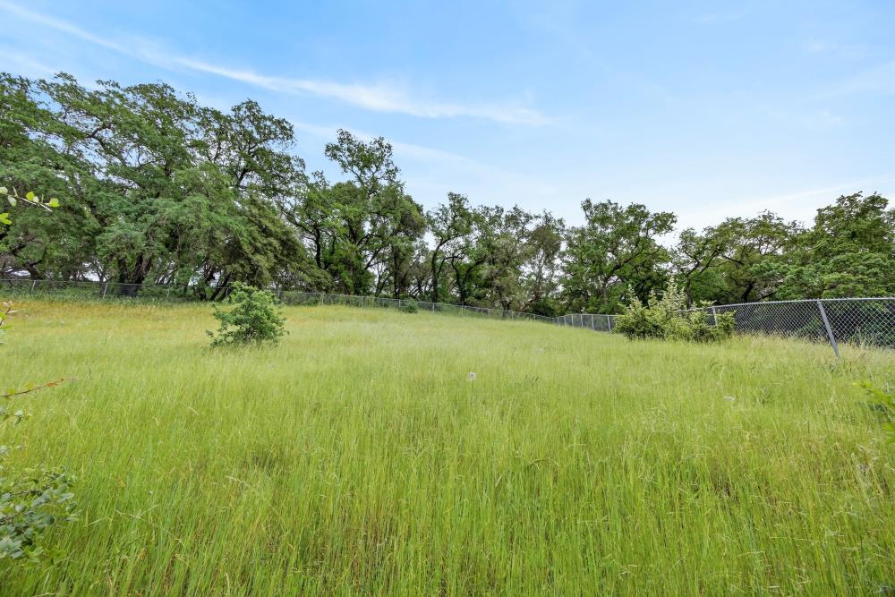 4071 Silver Street Rocklin, CA 95677 - Photo 54 of 70 a view of a garden