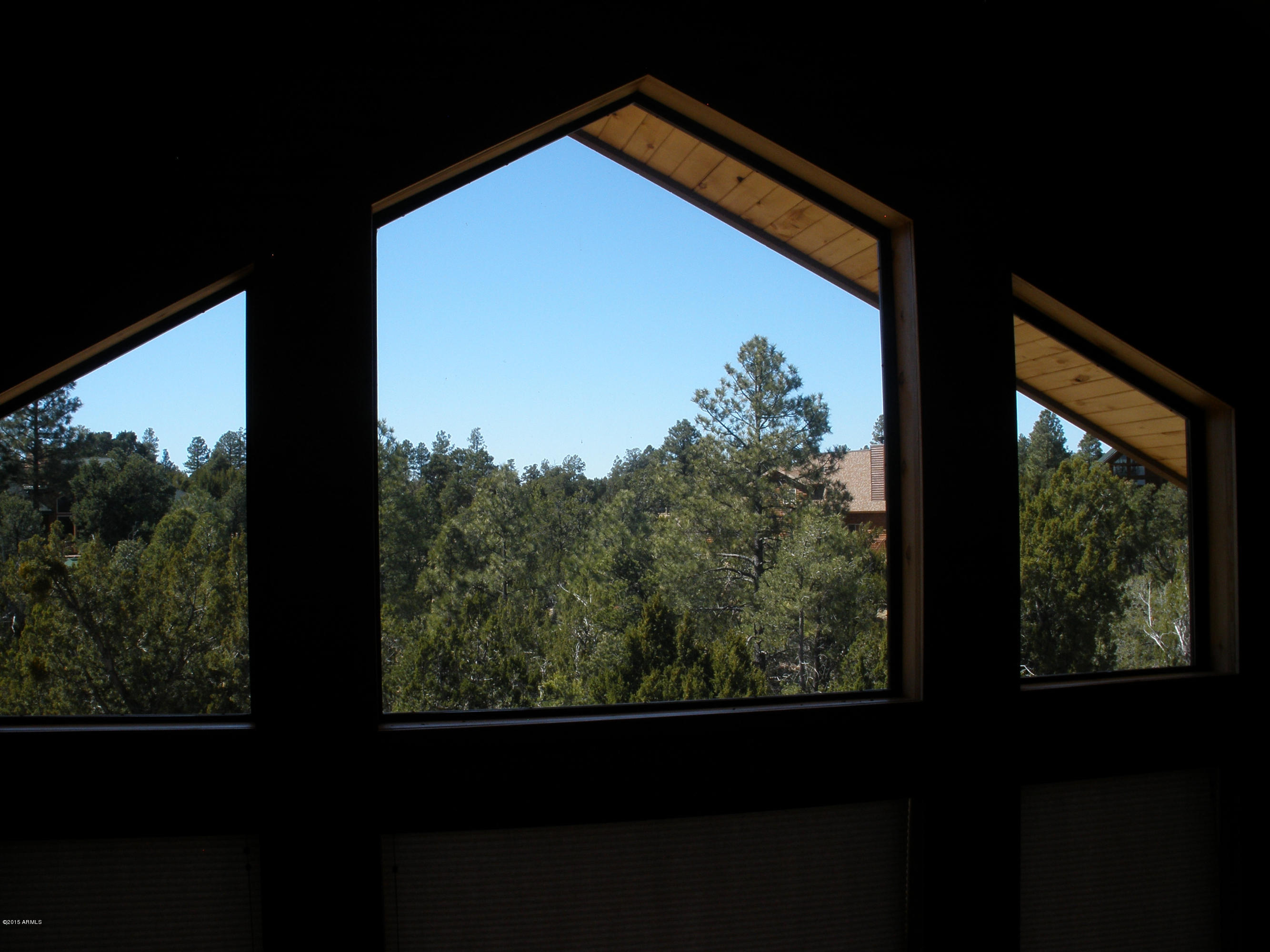 3323 South Fall Court Road Heber, AZ 85928 - Photo 31 of 55 Fall Court 075