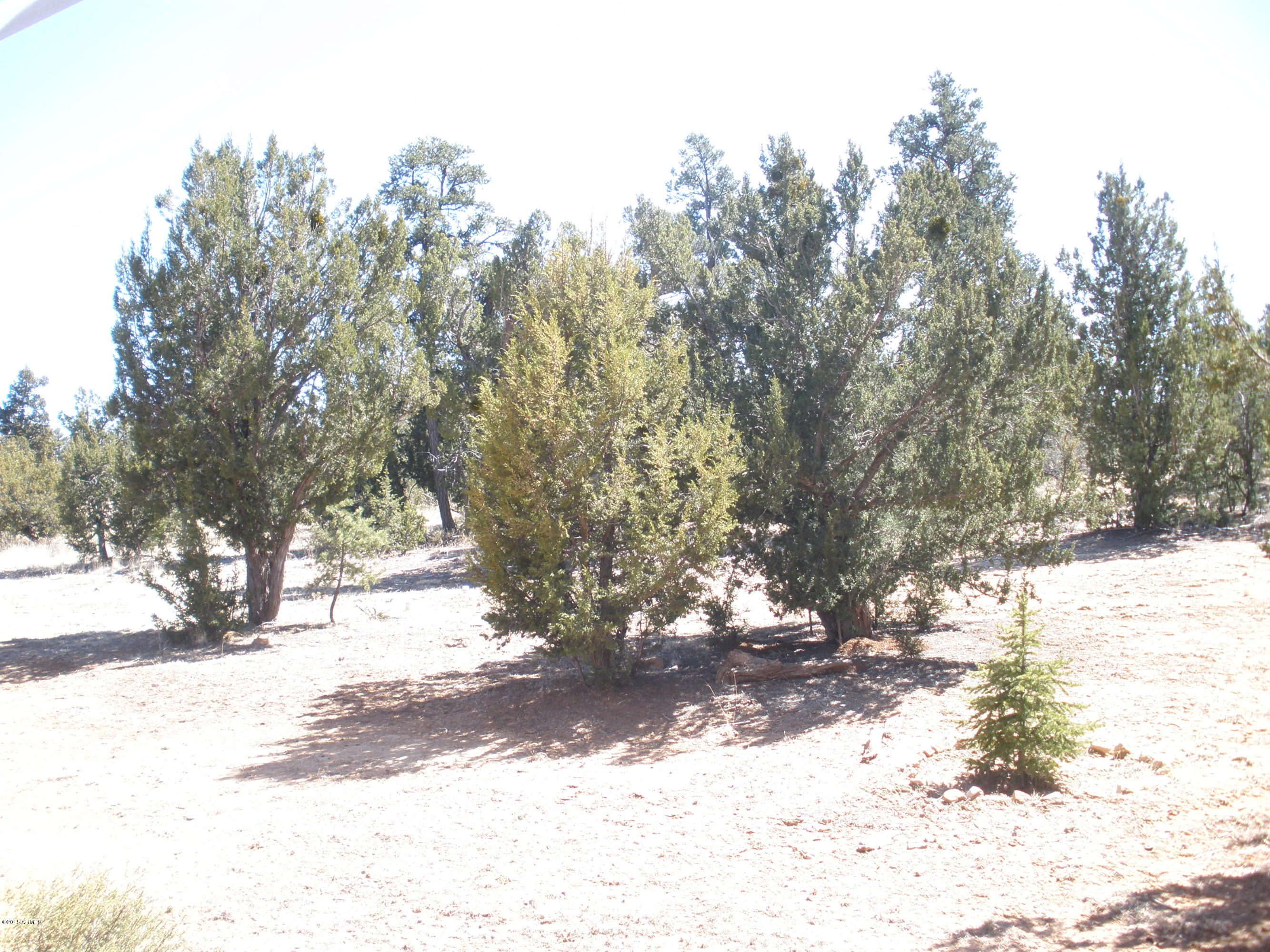 3323 South Fall Court Road Heber, AZ 85928 - Photo 48 of 55 Fall Court 095