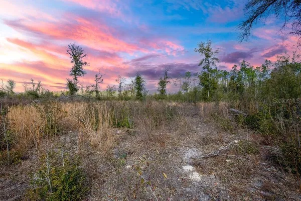 a view of a lake in middle of the forest
