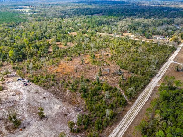 a view of a forest from a balcony