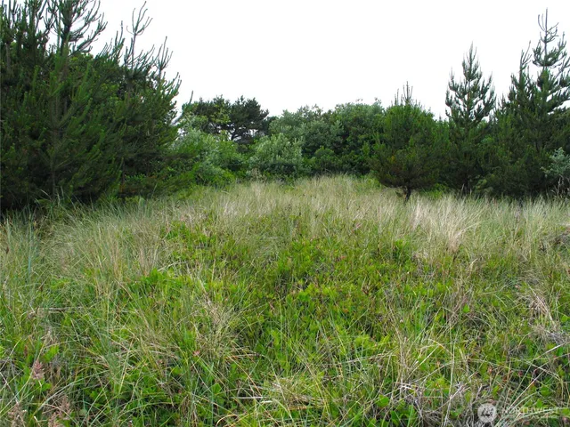 a view of a lush green field