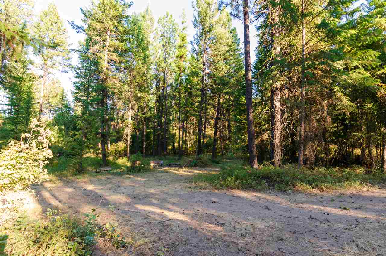 2551 Grimm Road Addy, WA 99101 - Photo 4 of 19