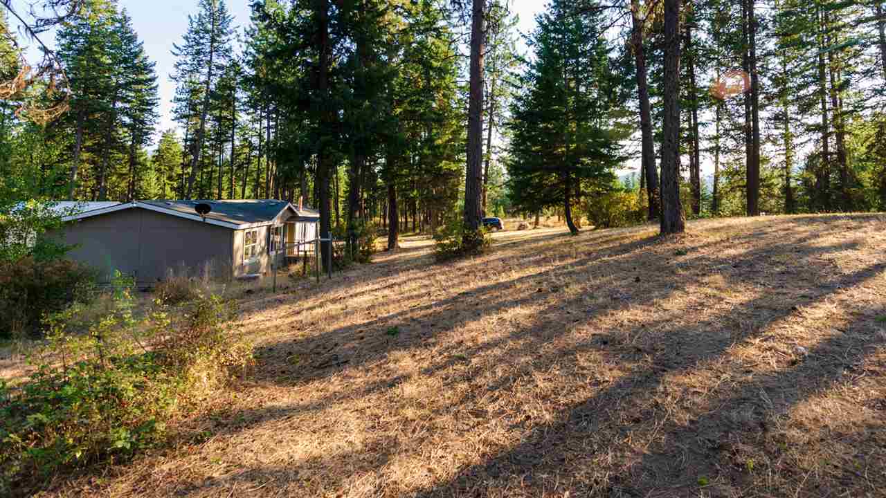 2551 Grimm Road Addy, WA 99101 - Photo 5 of 19