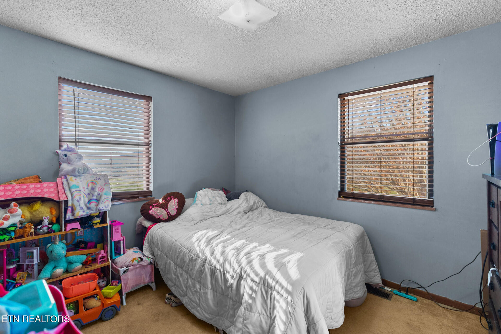 1756 Mansfield Gap Road Talbott, TN 37877 - Photo 14 of 32 1756 8