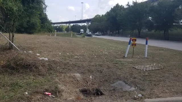 a view of outdoor space yard and tree
