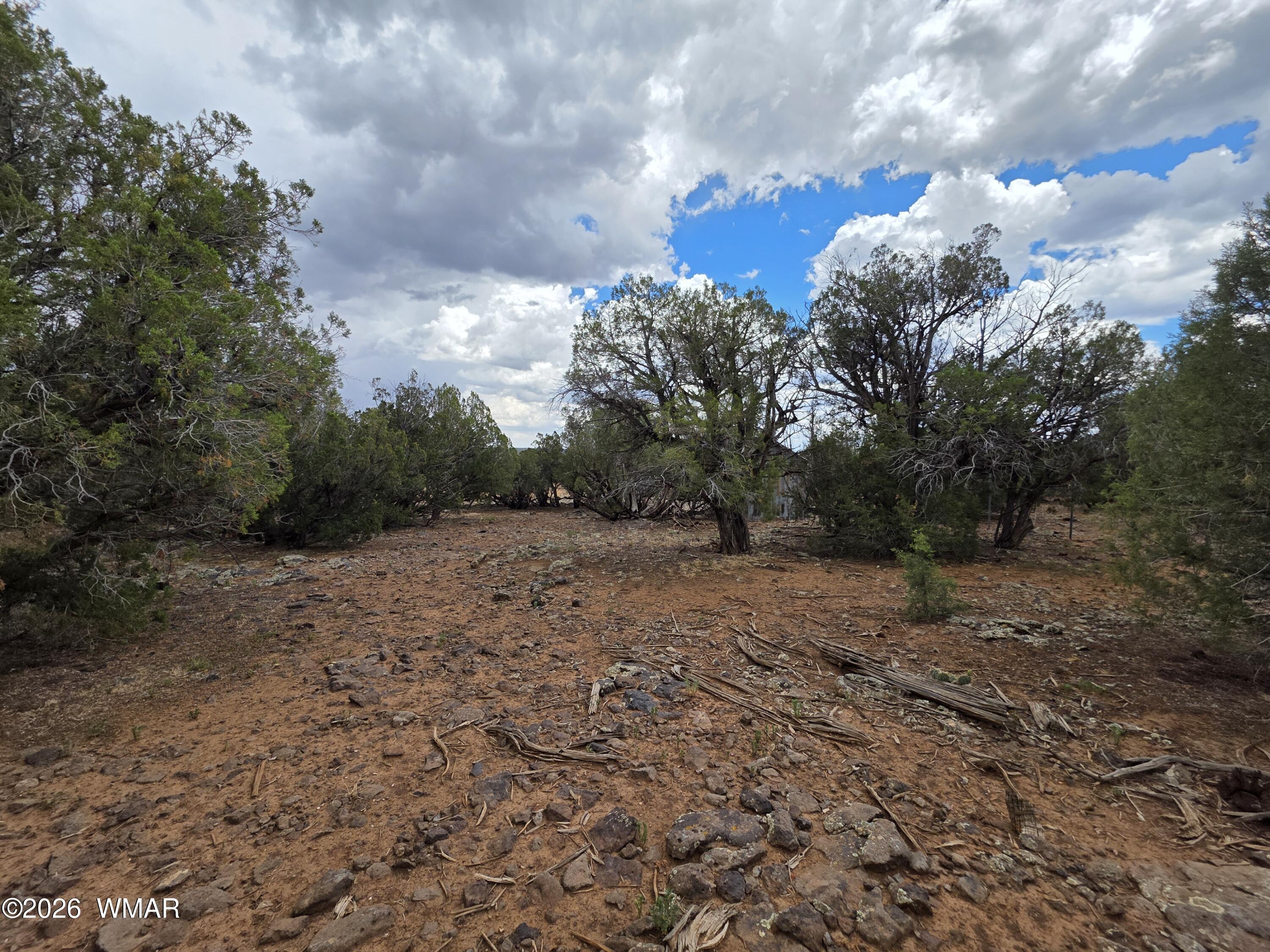 2075 Parker Ranch Road Show Low, AZ 85901 - Photo 12 of 29