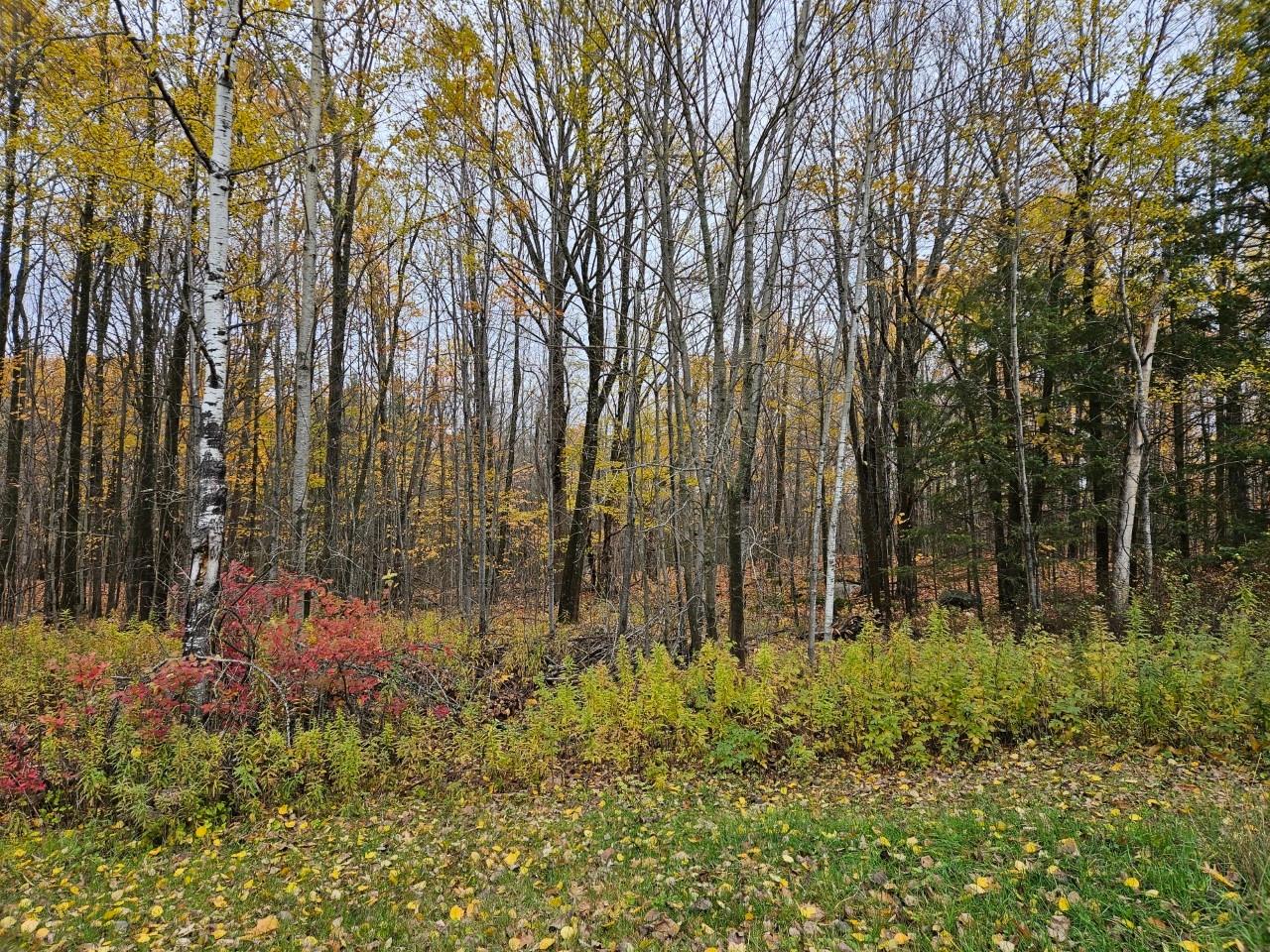 3536 North Rifle Road Rhinelander, WI 54501 - Photo 43 of 43 Gallery Image 43