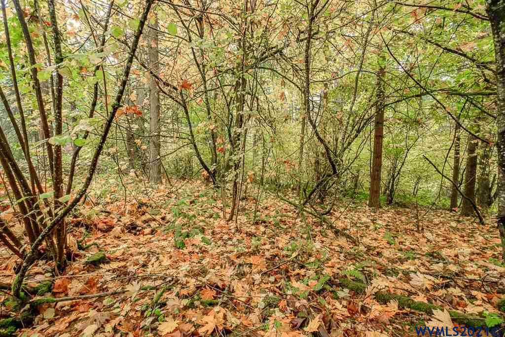 Bramblewood Lane Albany, OR 97321 - Photo 25 of 34