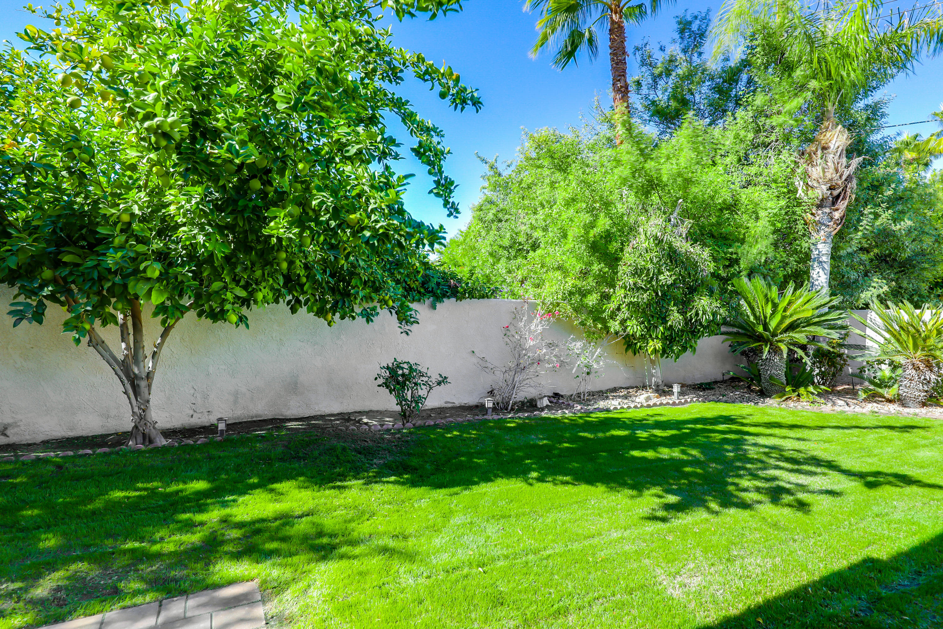 78950 Starlight Lane Bermuda Dunes, CA 92203 - Photo 30 of 32 a backyard of a house with lots of green space