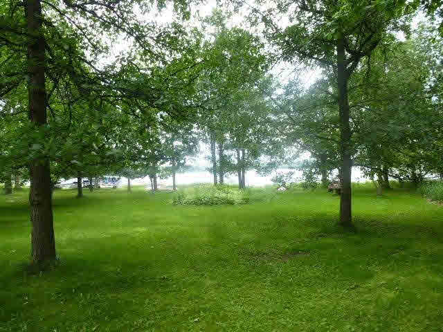 3493 Larson Lake Road Northwest Hackensack, MN 56452 - Photo 6 of 14 Gallery Image 6