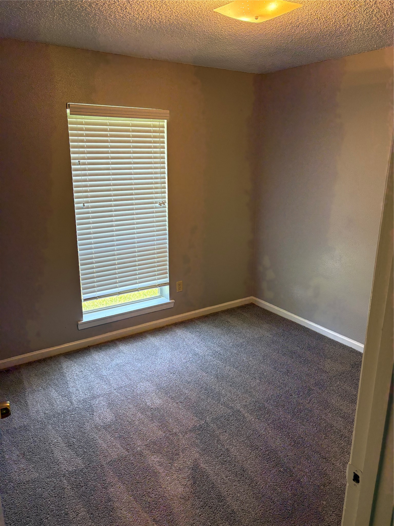 226 East Dumble Street Alvin, TX 77511 - Photo 5 of 11