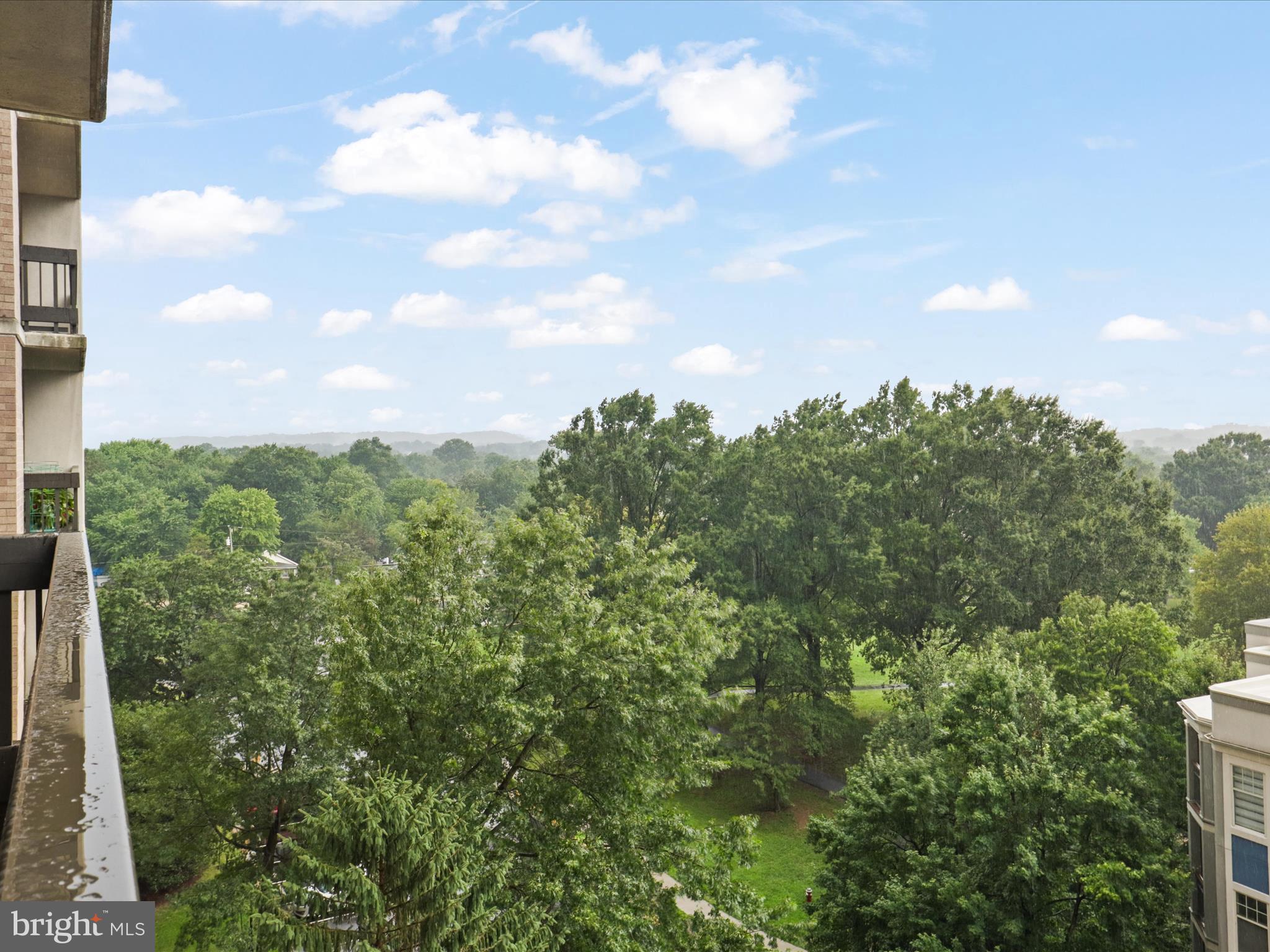 5505 Seminary Road, Unit 709N Falls Church, VA 22041 - Photo 32 of 37 Gallery Image 32