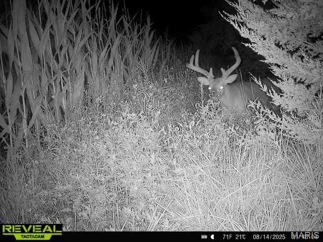 0 Sand Creek Bottom Road Greentop, MO 63546 - Photo 18 of 52