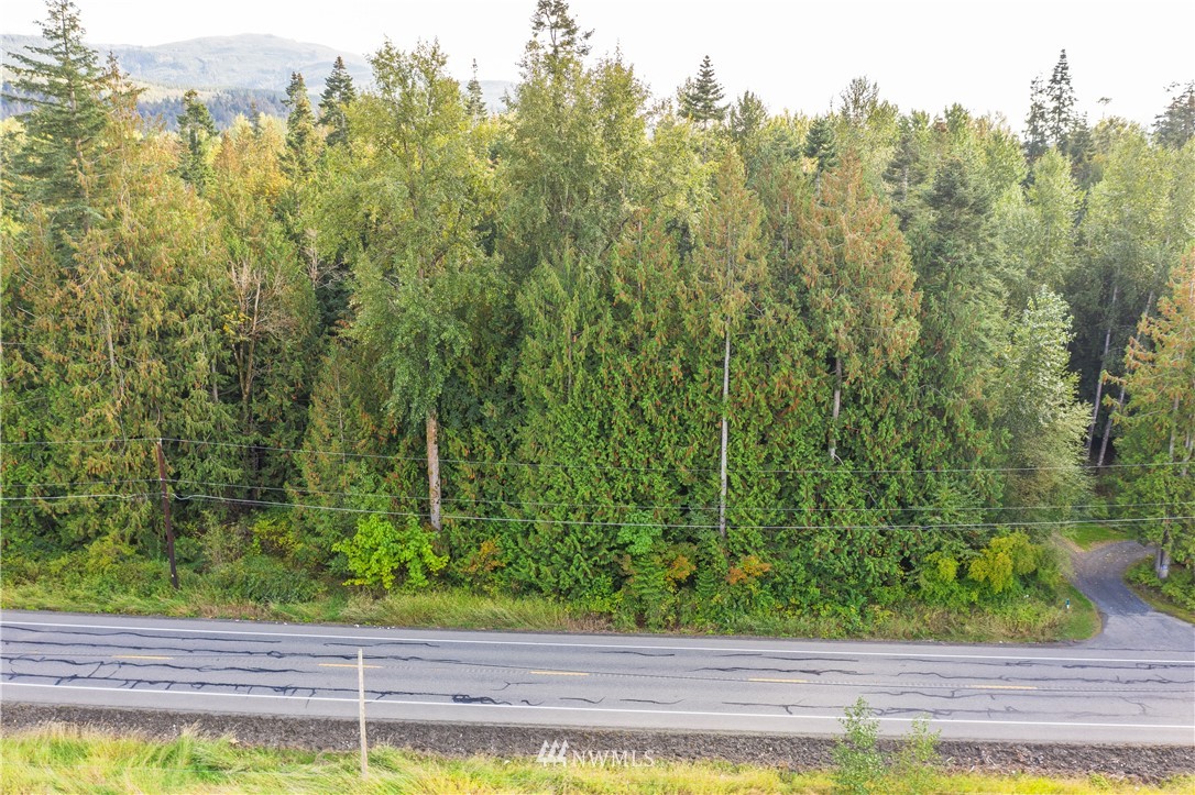 3000 East Smith Road Bellingham, WA 98226 - Photo 13 of 20 a view of a yard from a window