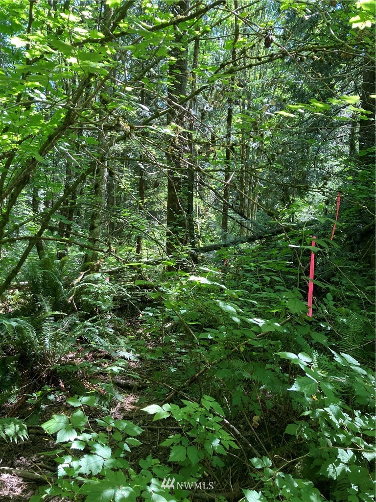 3000 East Smith Road Bellingham, WA 98226 - Photo 15 of 20