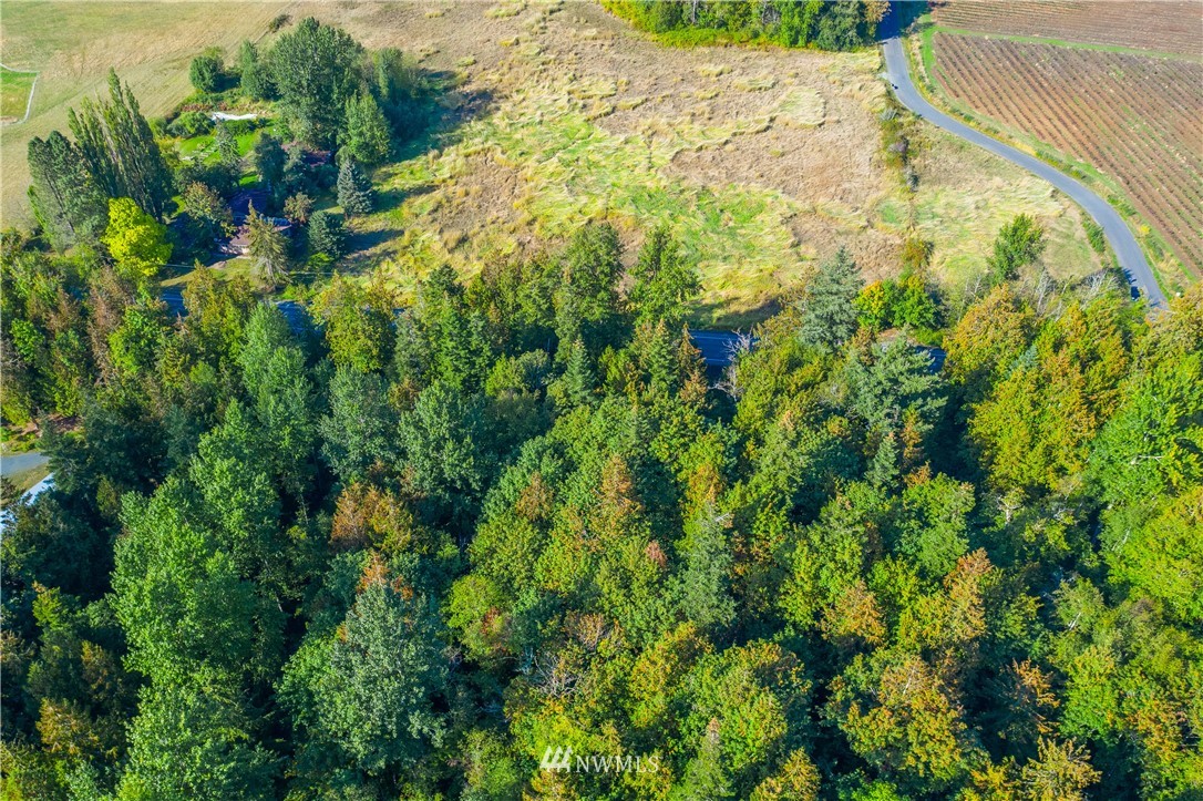 3000 East Smith Road Bellingham, WA 98226 - Photo 5 of 20 a view of a garden