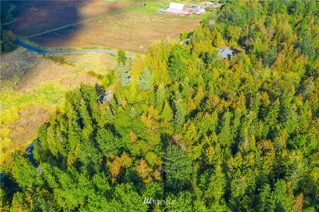 3000 East Smith Road Bellingham, WA 98226 - Photo 8 of 20 a view of a large yard with lots of green space