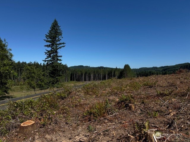 6 Nelson Road Winlock, WA 98596 - Photo 11 of 18