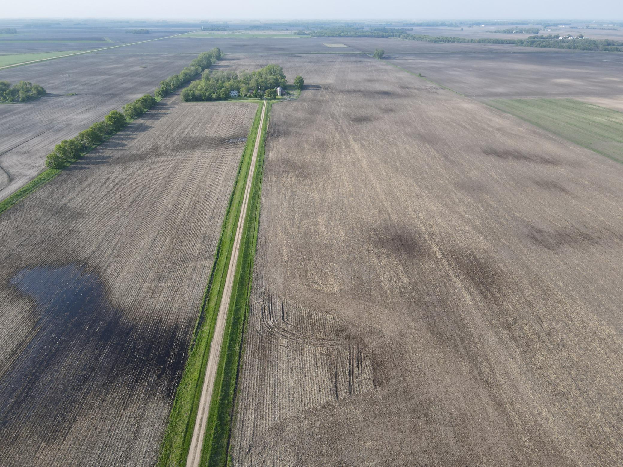 Tbd 90th Street Southeast Benson, MN 56215 - Photo 1 of 5