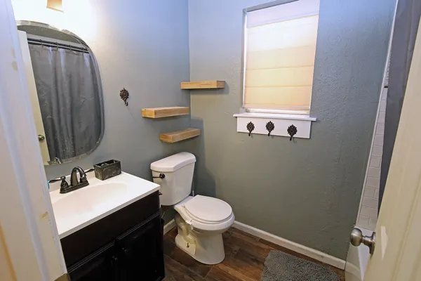 a bathroom with a sink a toilet and a mirror