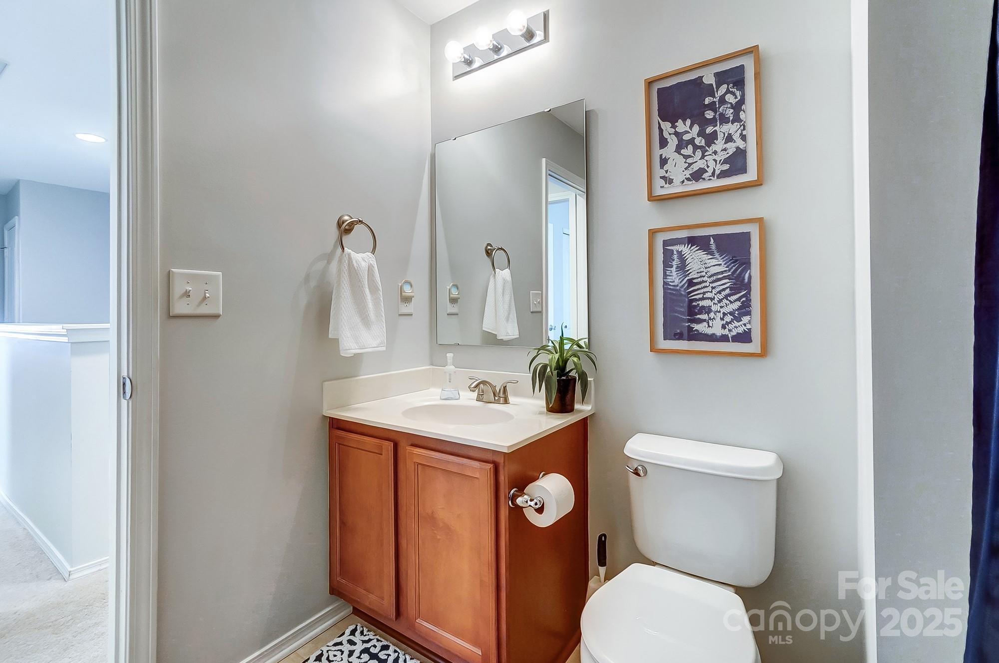 309 River Clay Road Fort Mill, SC 29708 - Photo 30 of 35 a bathroom with a toilet a sink and mirror