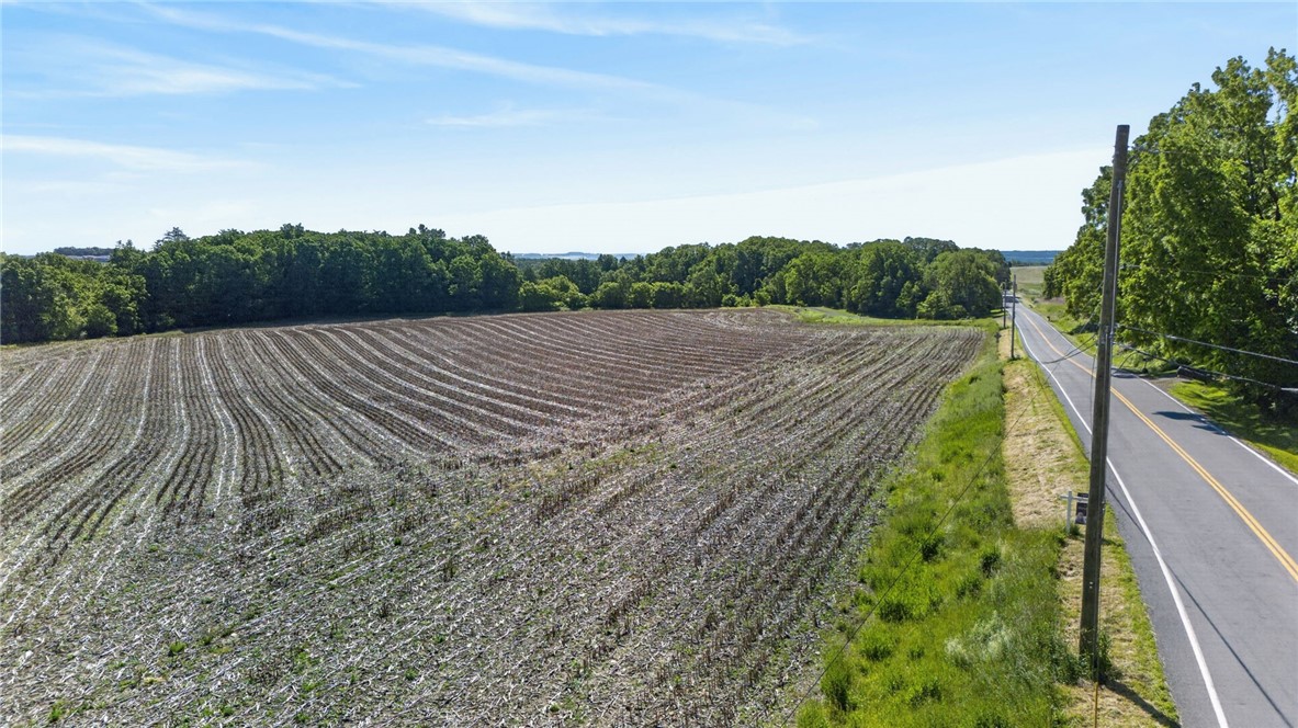Cramer Road Canandaigua, NY 14424 - Photo 10 of 47
