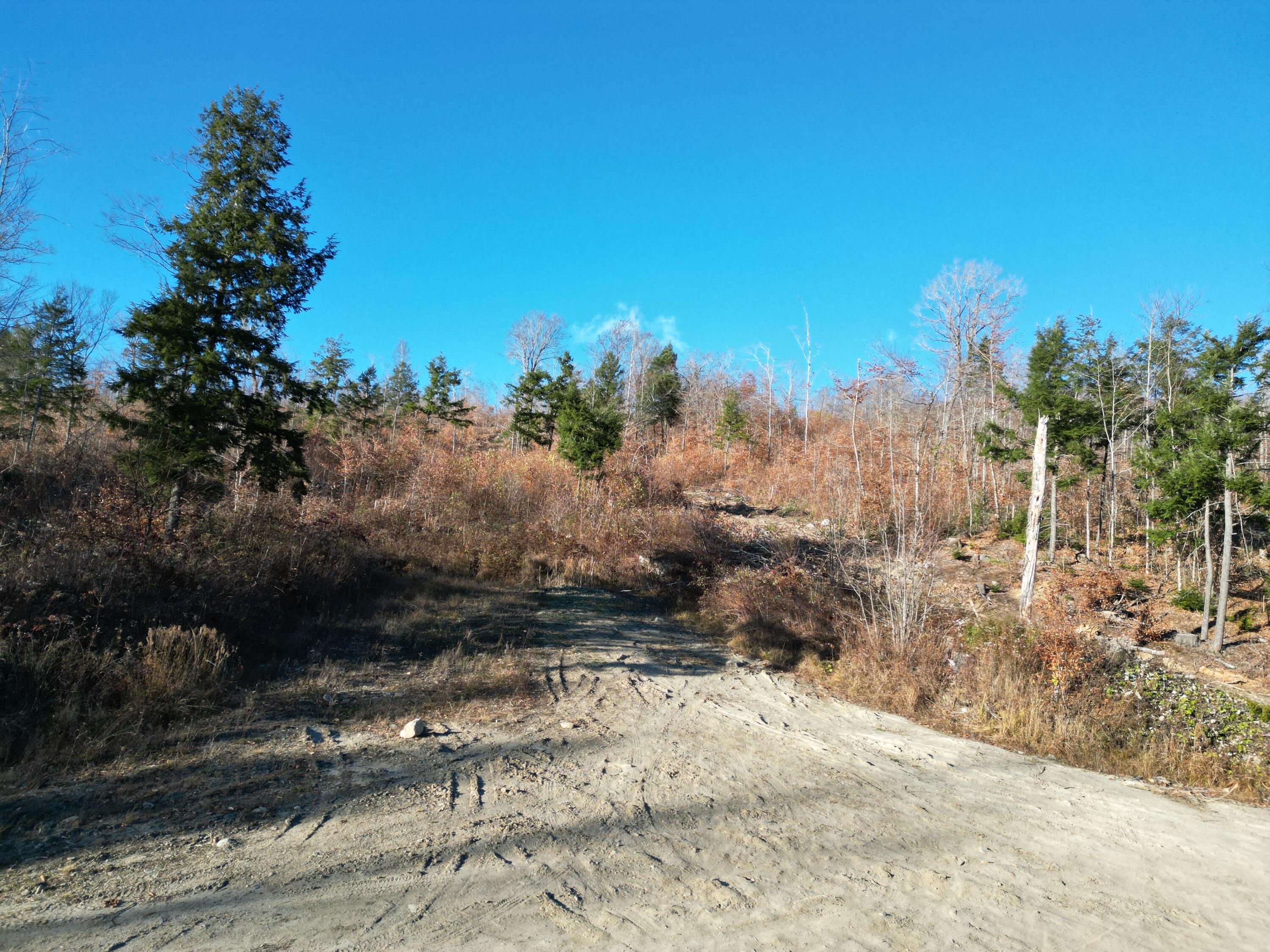 Lot 12 Ghost Road Springfield, ME 04487 - Photo 1 of 16 DJI_0919