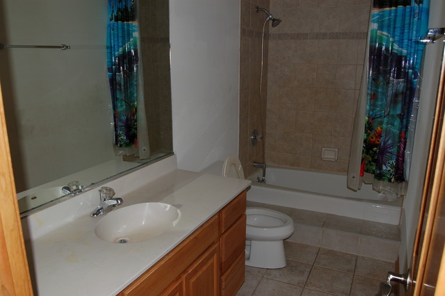 4975 Cardinal Court Monee, IL 60449 - Photo 6 of 9 a bathroom with a sink a toilet and shower