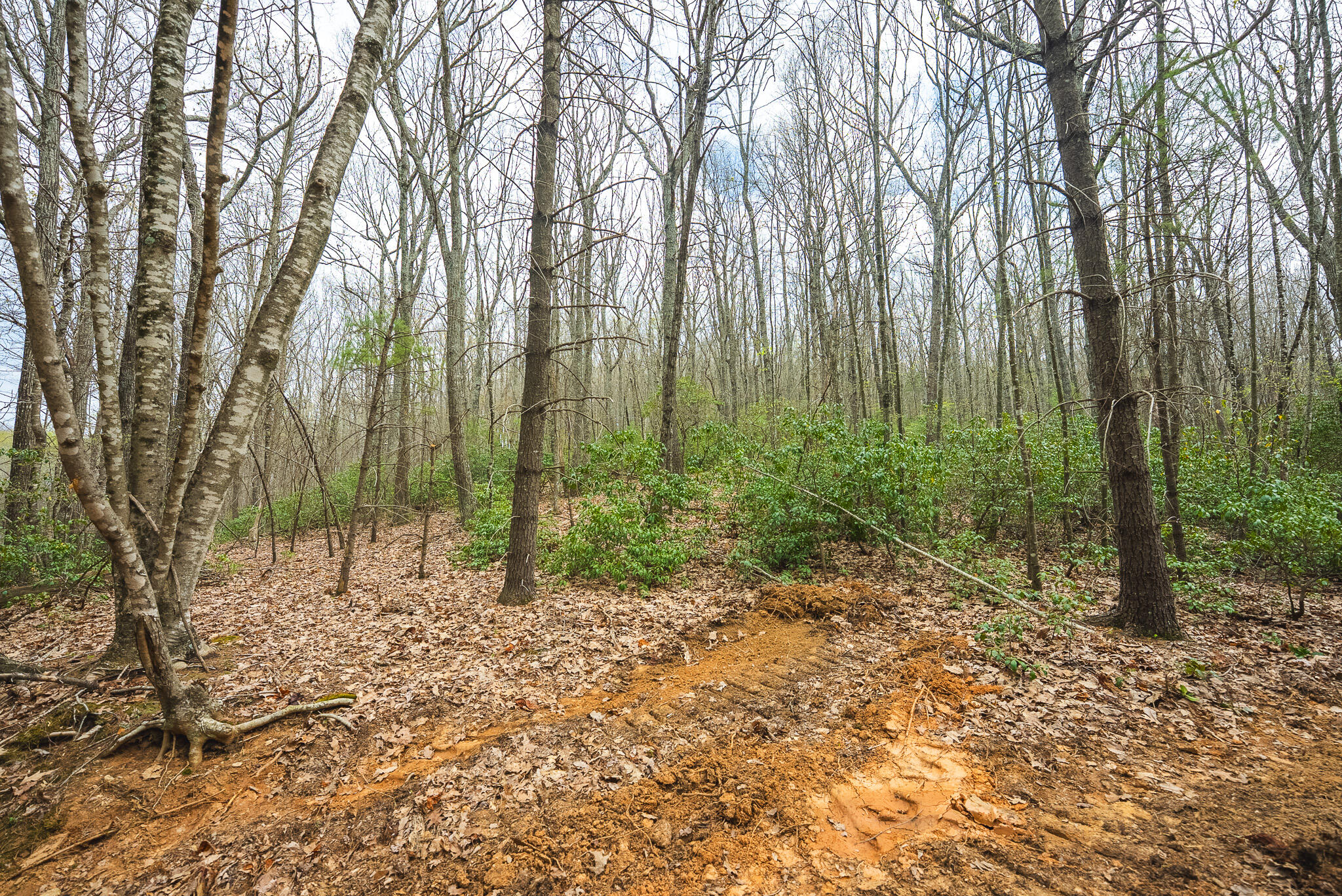 Tbd Cox Store Road Southwest Floyd, VA 24091 - Photo 12 of 27