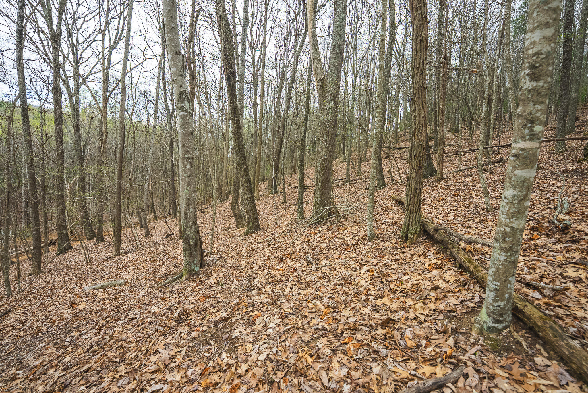Tbd Cox Store Road Southwest Floyd, VA 24091 - Photo 19 of 27 a view of wooden fence