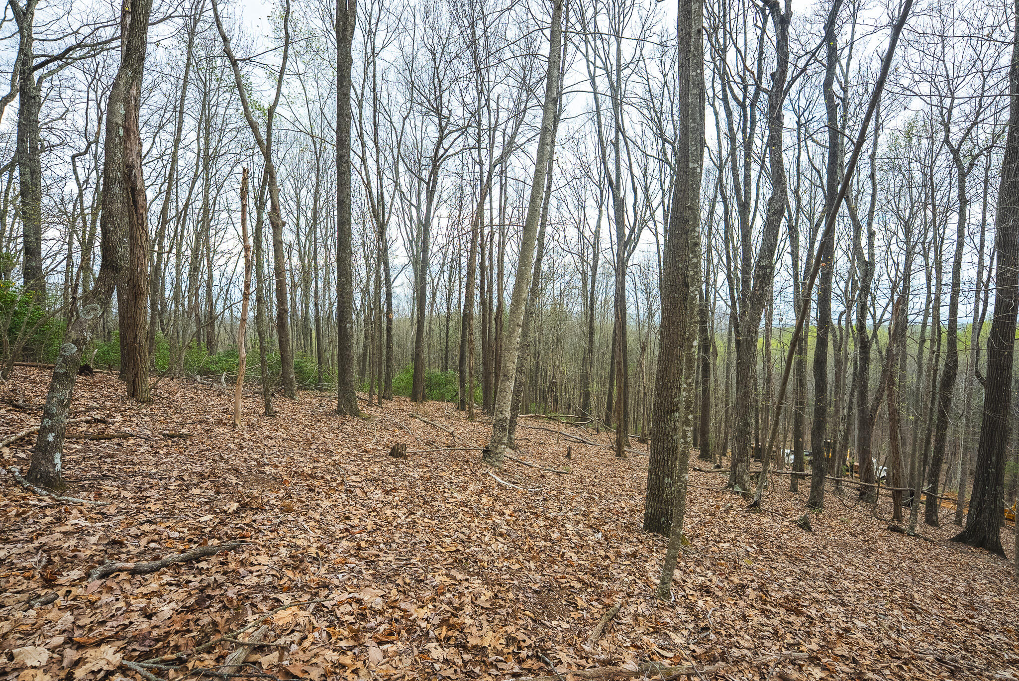 Tbd Cox Store Road Southwest Floyd, VA 24091 - Photo 21 of 27