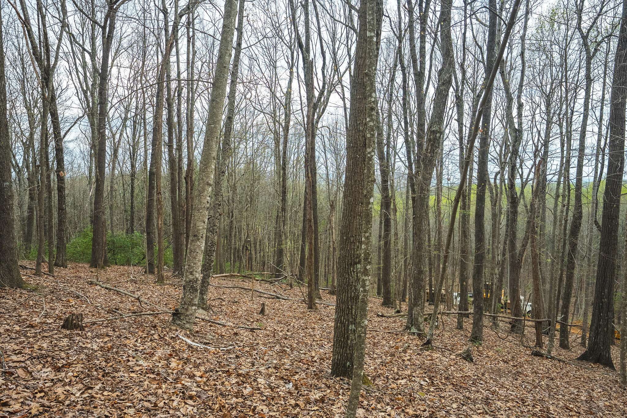 Tbd Cox Store Road Southwest Floyd, VA 24091 - Photo 22 of 27 a view of outdoor space with sink