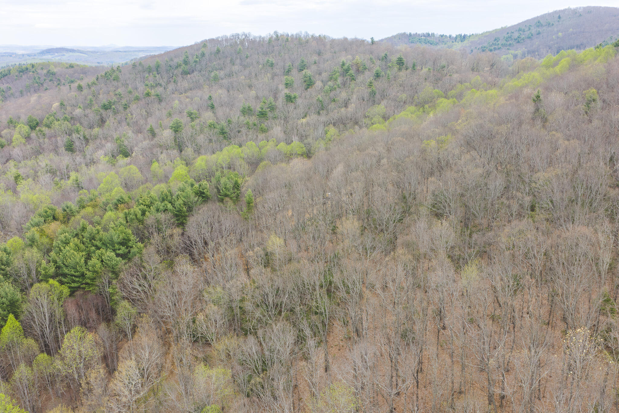 Tbd Cox Store Road Southwest Floyd, VA 24091 - Photo 7 of 27 a view of a dry field with trees in the background