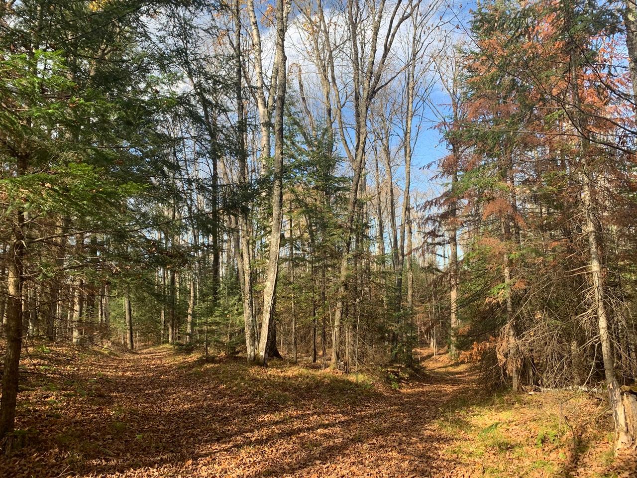 6108 North Spg Lk Road Mercer, WI 54547 - Photo 28 of 99 Gallery Image 28