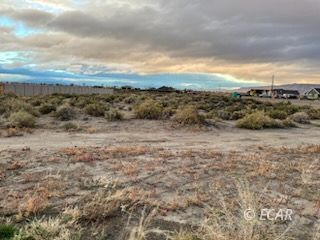 115 Blue Ridge Road Battle Mountain, NV 89820 - Photo 10 of 14 a view of a dry yard with wooden fence