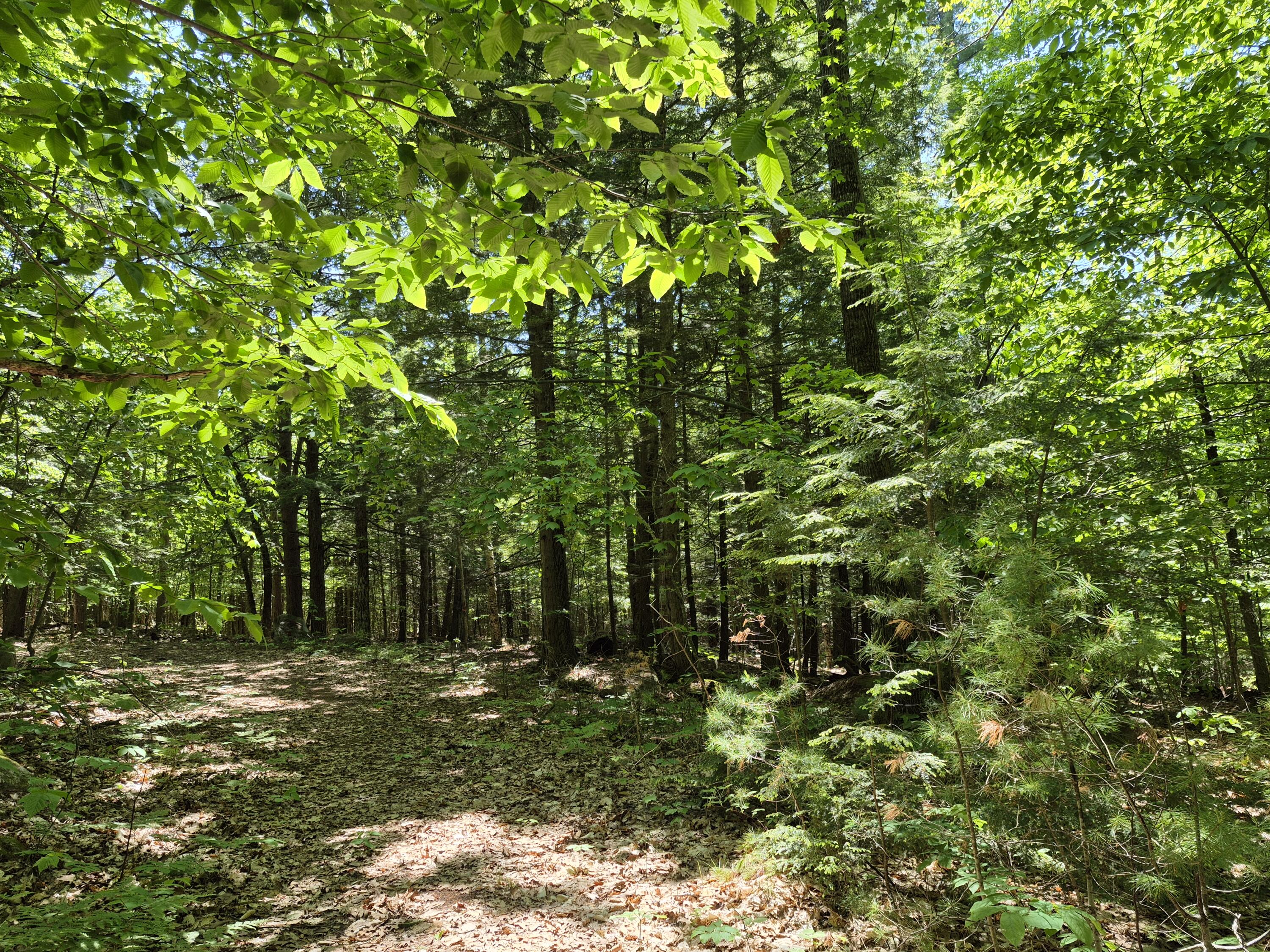 Lot 36 Foster Lane Belgrade, ME 04917 - Photo 1 of 8 20250603_134338