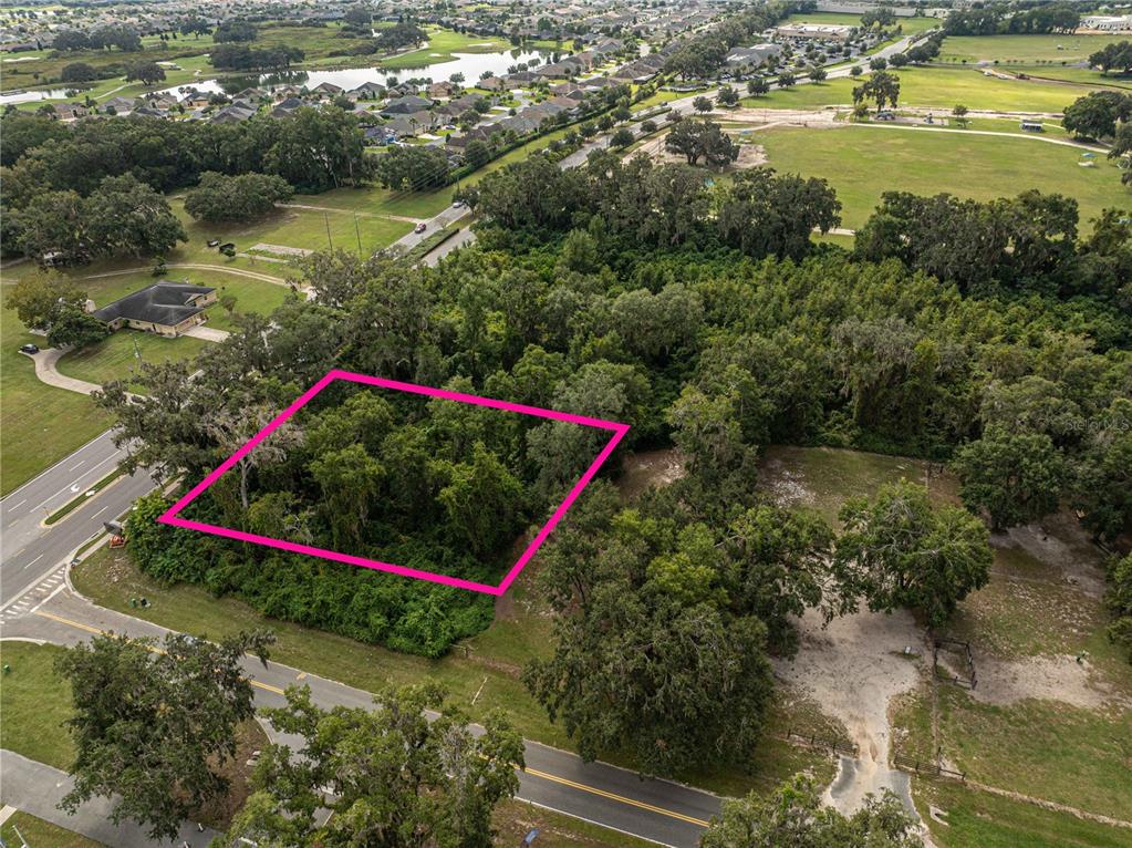 6974 Powell Road Wildwood, FL 34785 - Photo 4 of 6 a view of a flower in a yard next to a building