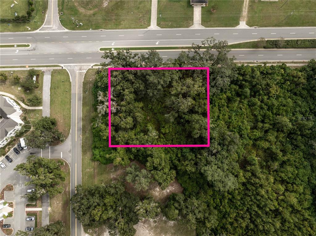 6974 Powell Road Wildwood, FL 34785 - Photo 5 of 6 a view of a outdoor space