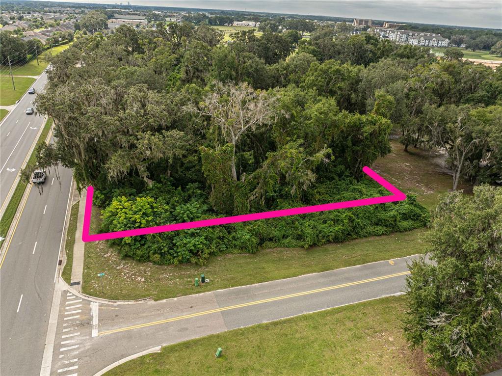 6974 Powell Road Wildwood, FL 34785 - Photo 6 of 6 a view of a park with large trees and plants