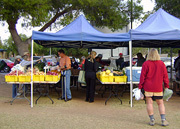 3754 East Charter Oak Road Phoenix, AZ 85032 - Photo 12 of 13 Neighborhood-Roadrunner Park 2