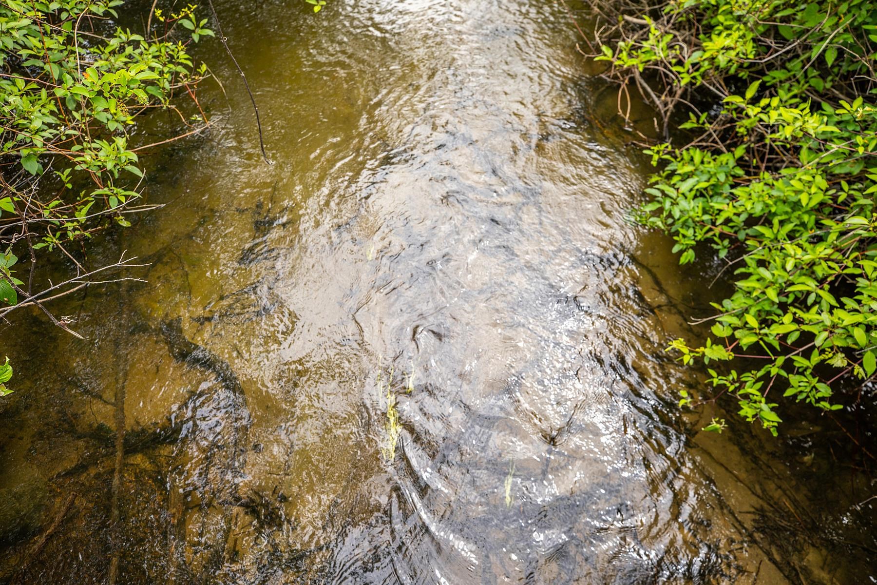702 Middlebrook Road West Fairlee, VT 05045 - Photo 18 of 40